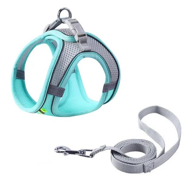 Arnés ajustable para mascotas con correa