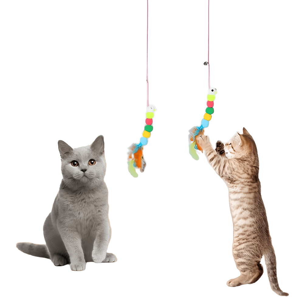 Juguete Colgante con Ventosa para Gatos
