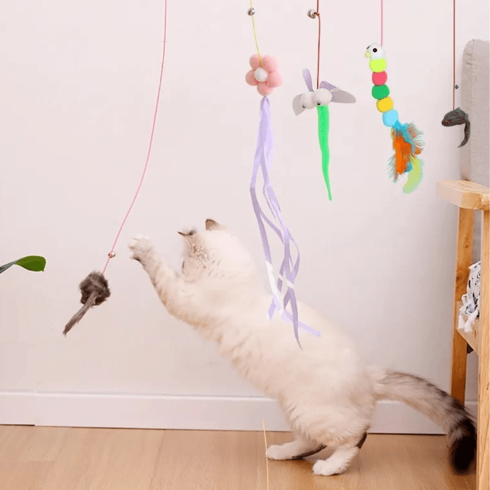 Juguete Colgante con Ventosa para Gatos