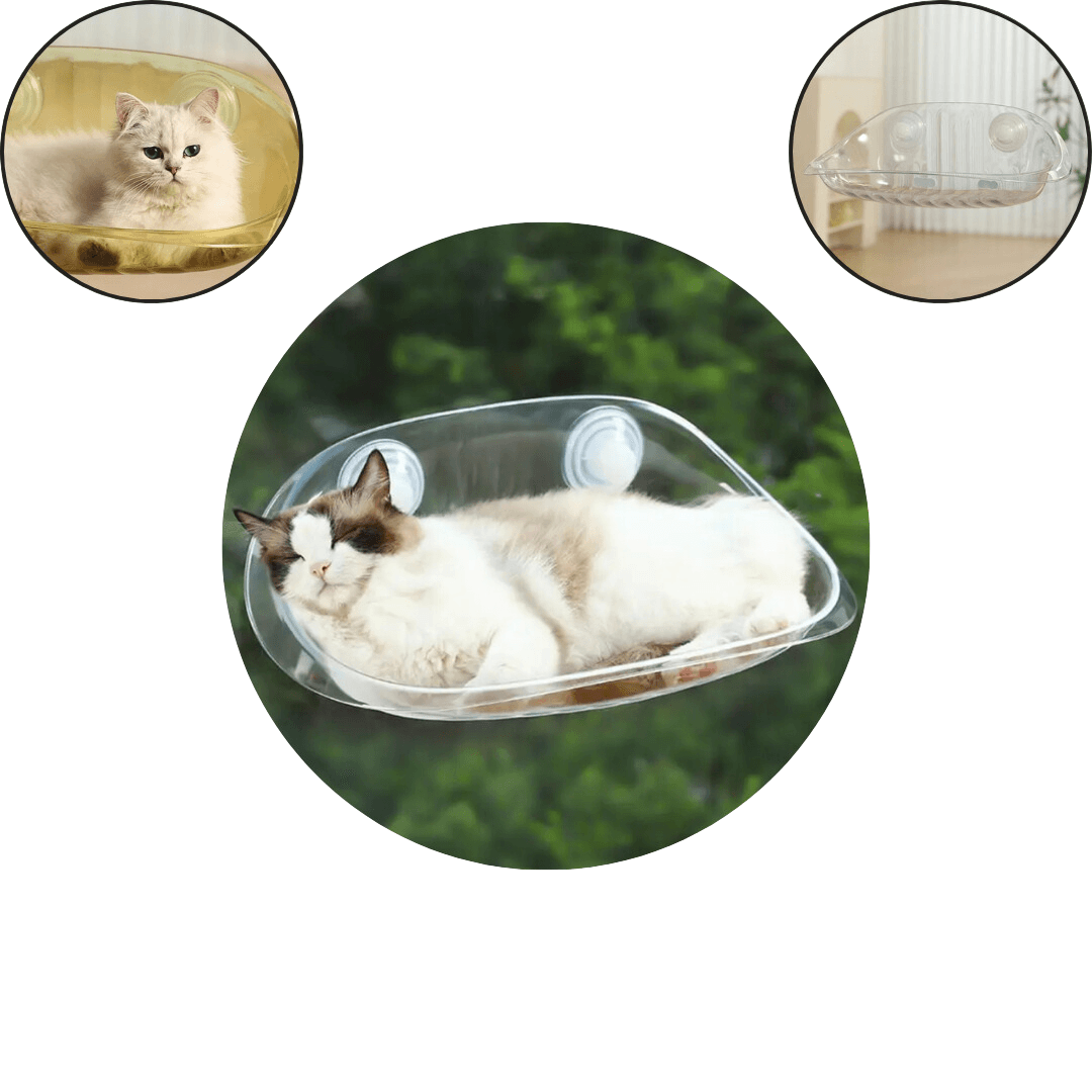 Cama colgante moderna para gatos